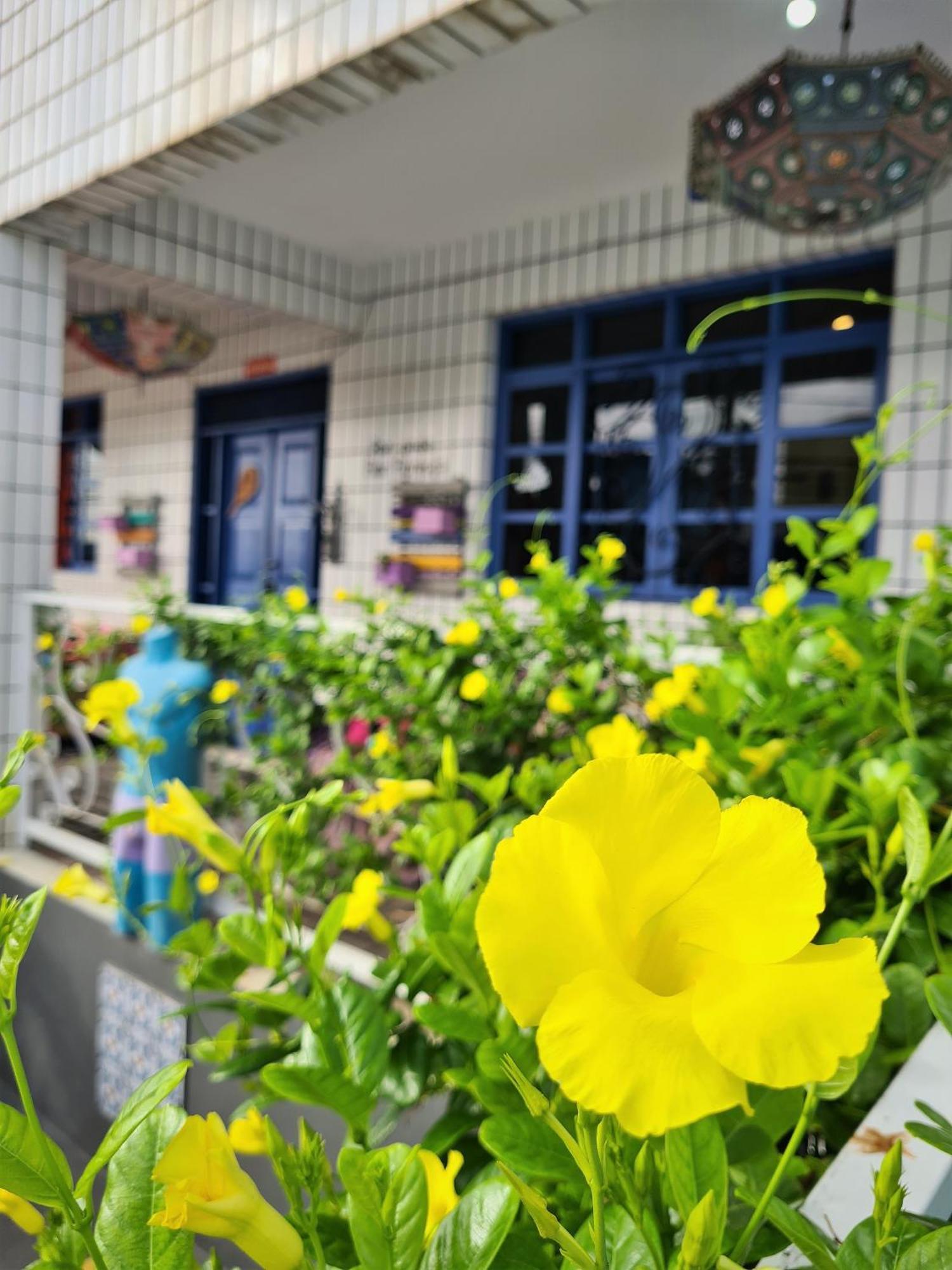 Soul Hostel Natal Zewnętrze zdjęcie